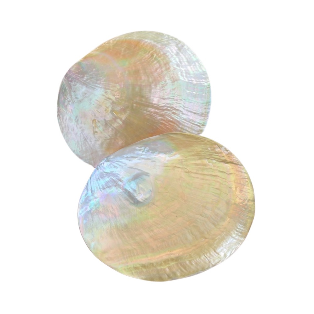 Antique Mother of Pearl Seashell Caviar Dish circa 1920s (set of 2)